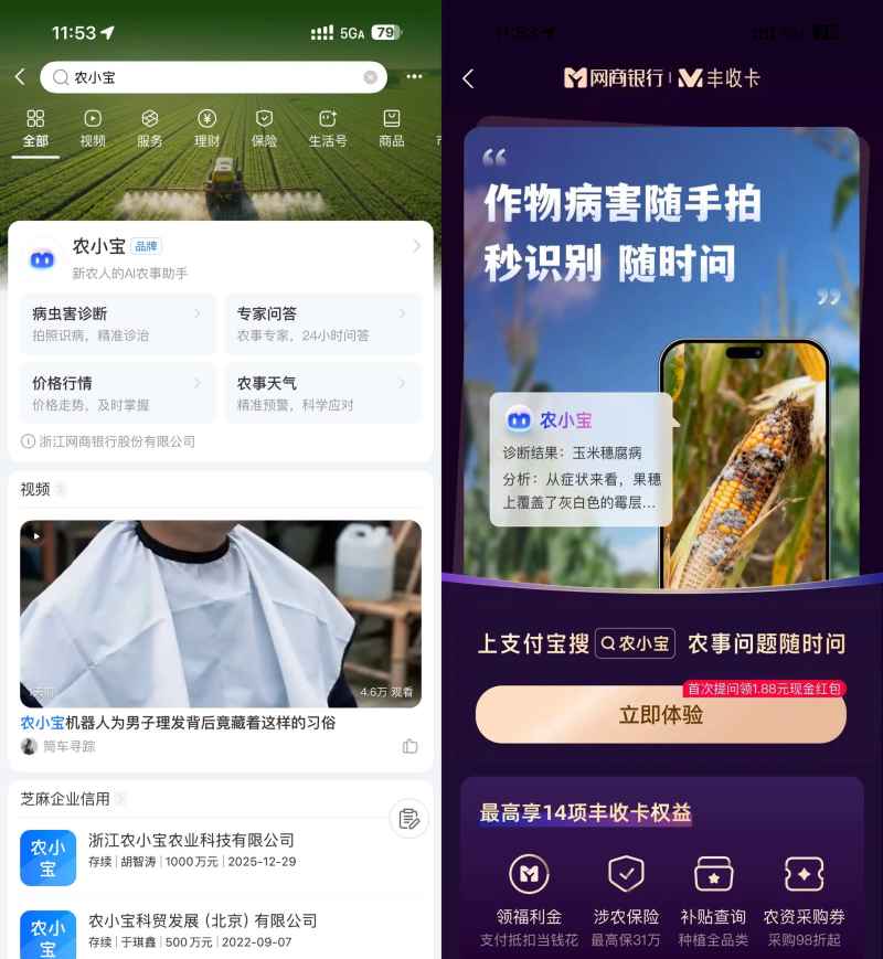 支付宝农小宝首次提问得1.88亓