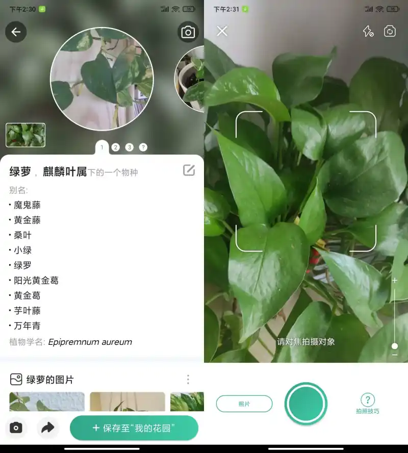 PictureThis 植物识别APP 界面截图