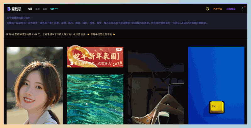 壁纸湖:一个无广告、免登录的壁纸下载网站,提供高质量的各种类型壁纸,用户可以轻松一键免费下载