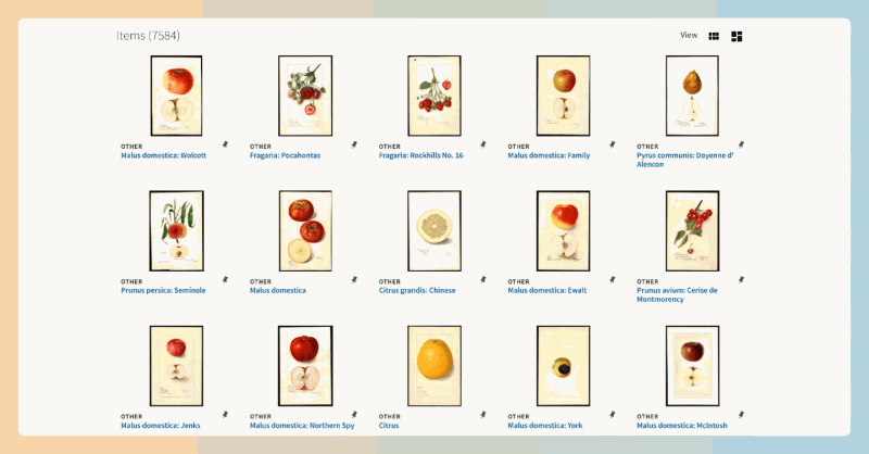 USDA Pomological Watercolors:美国农业部提供的7000多种手绘水果图像,可以免费下载和使用这些图像,无需担心版权